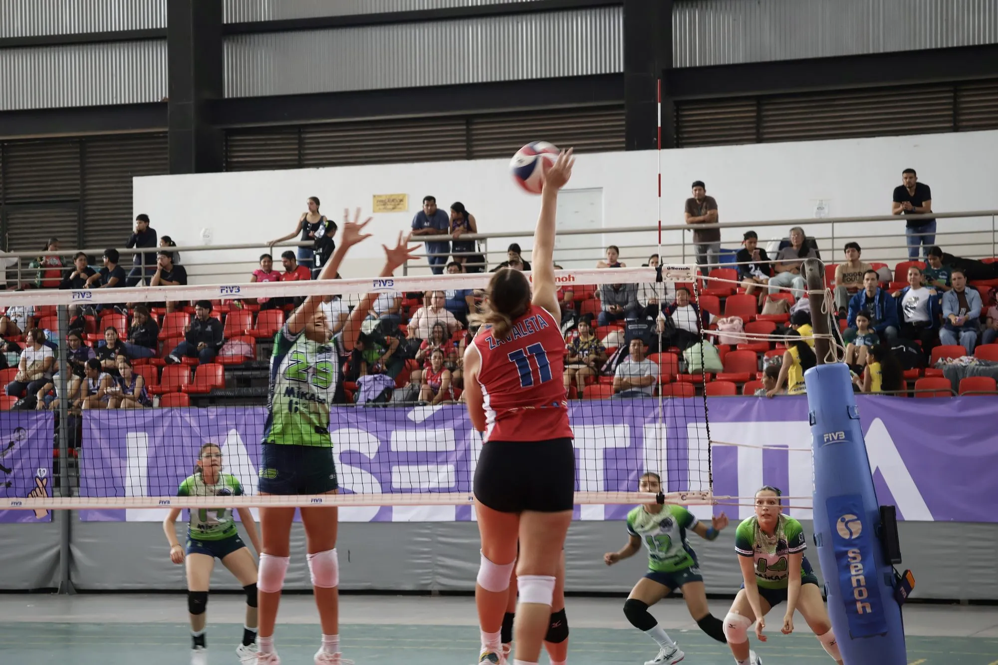 Una colocadora levanta el balón junto a la red mientras el equipo rival se prepara.